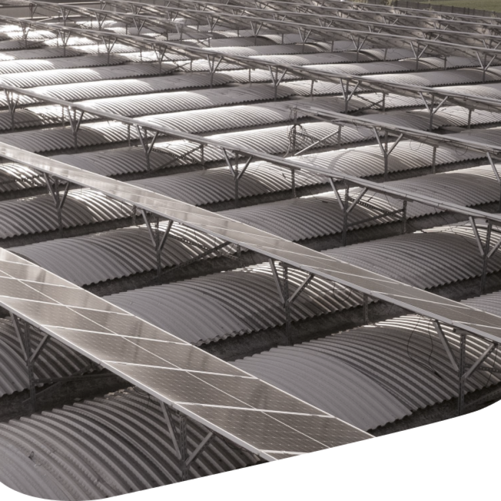 Foto impianto produttivo