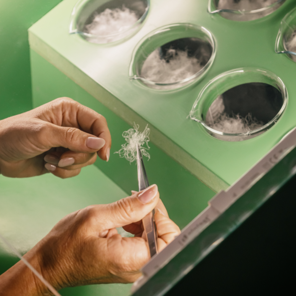 Foto impianto produttivo