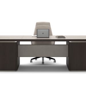 Bureau de direction Ray
 