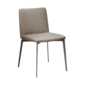 <p>椅子&middot;弗莱萨</p>