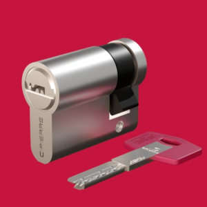 <p>Striker doppio cilindro sagomato</p>