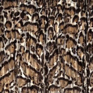 Visone Leopard