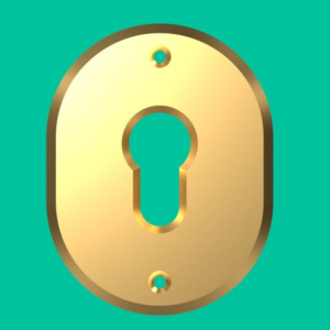 <p>Mostrina ovale 316L &nbsp;</p>