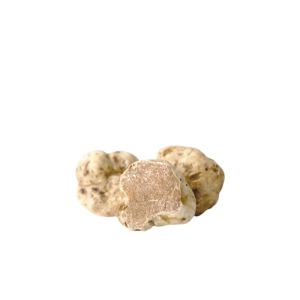 Truffe blanche fraîche