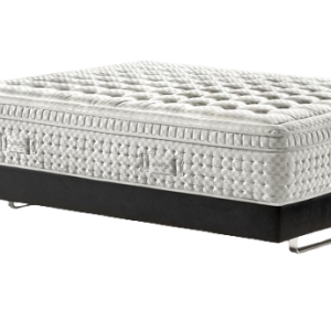 Maestro Dual 14