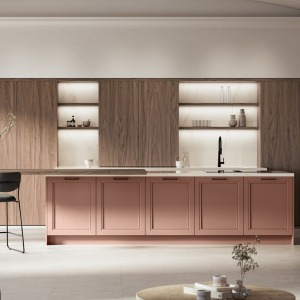 Opera Classic kitchen with door with solid frame